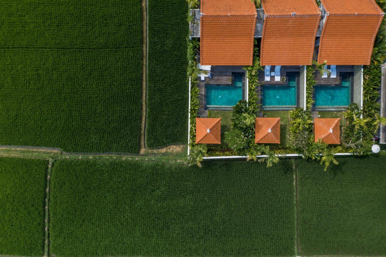Sawah Villas Ubud  Exterior photo